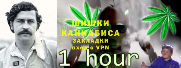 каннабис Богданович