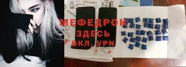 соль ск Ельня