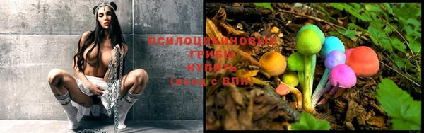 mdpv Белокуриха